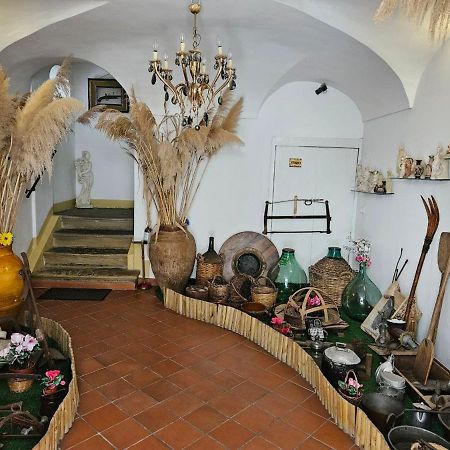 B&B Al Borgo Troina Eksteriør billede